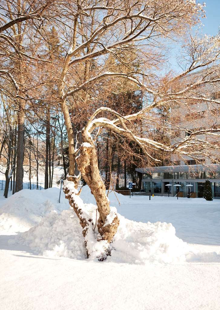 Radisson Blu Park Hotel, Oslo Hotel Fornebu